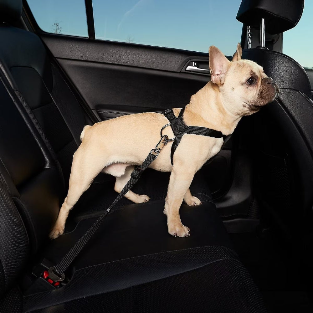 PetGuard - Hundesele