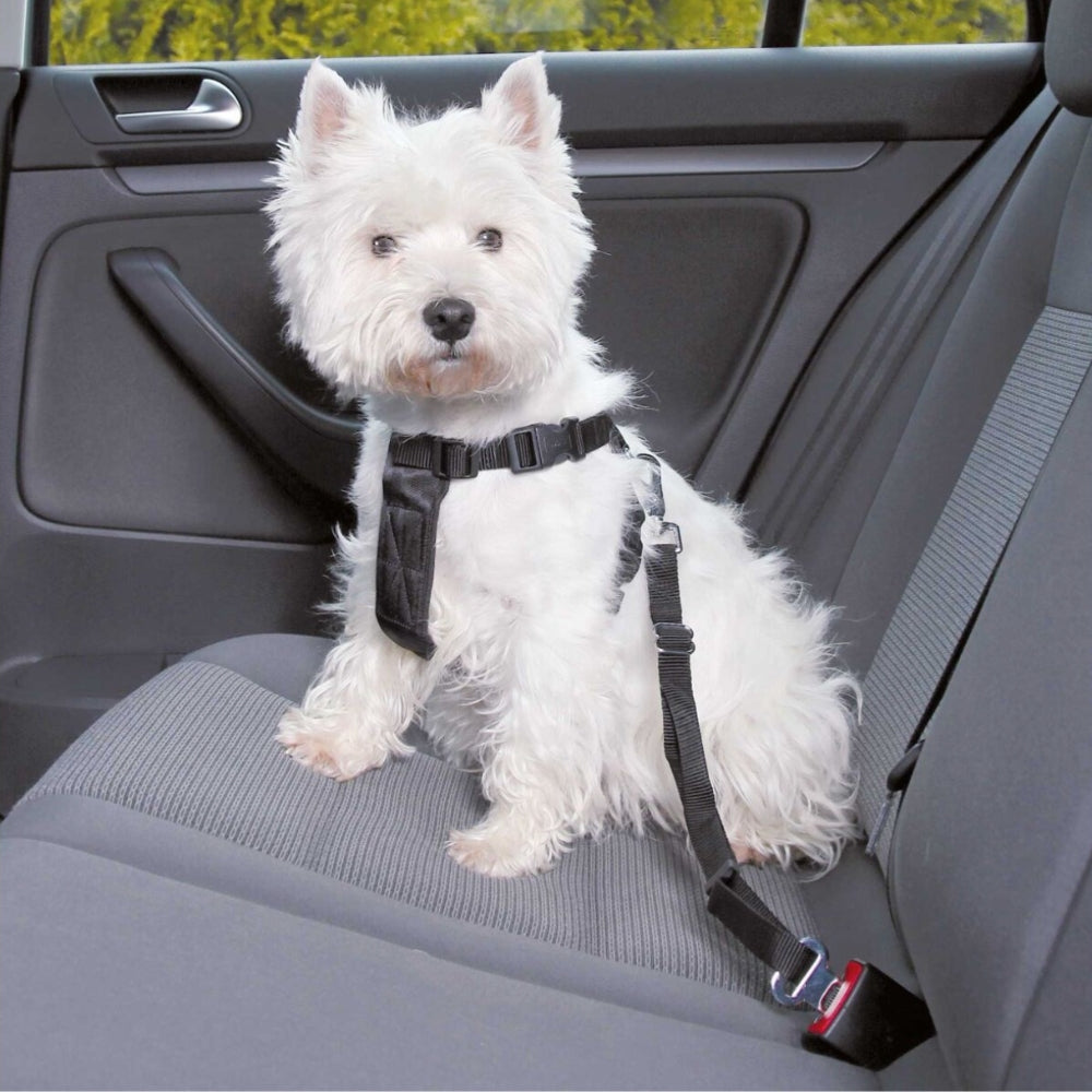 PetGuard - Hundesele